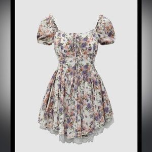 NWT Cider ruffle dress